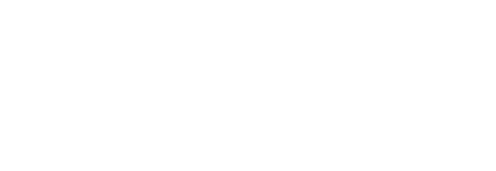 Logo Inc Magazine